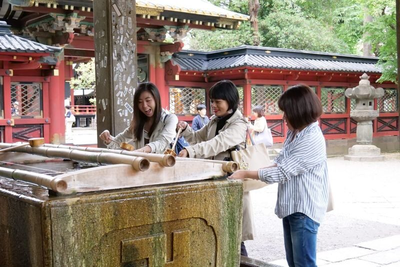 Yanaka Historical City Exploration Walking Tour in Tokyos Old Town - A cedar tree and the local character of Yanaka Ginza