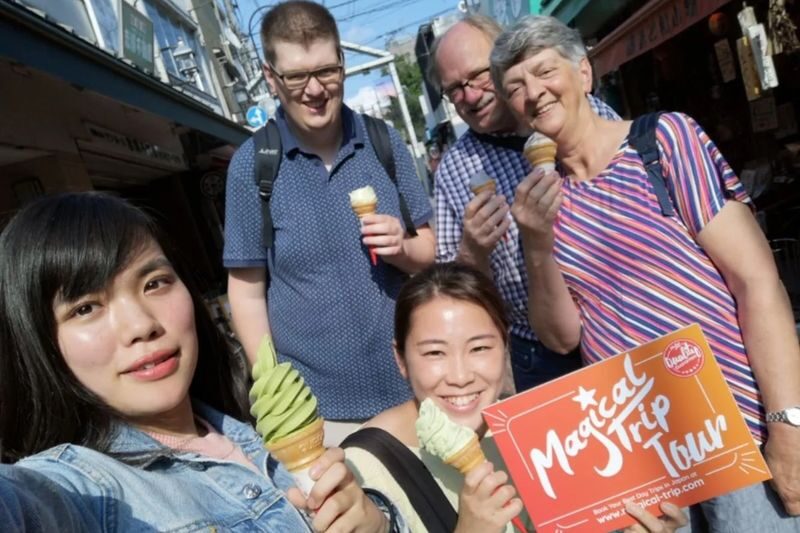 Yanaka Historical City Exploration Walking Tour in Tokyos Old Town - Who should book this Yanaka walk?