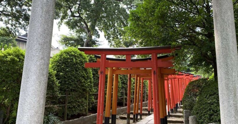 Yanaka & Nezu: Explore Retro Japan through Food and Culture - A Deep Dive into the Experience