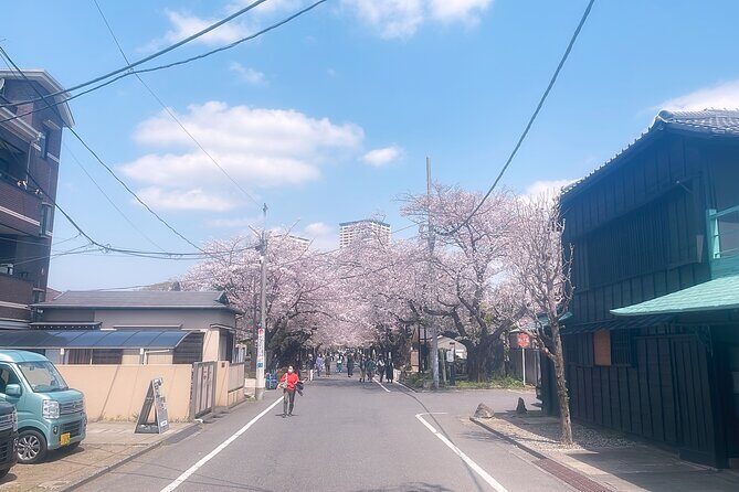 Yanaka & Ueno Tokyo's Old Town Charm - Temple, market,Retro Vibes - Final Thoughts