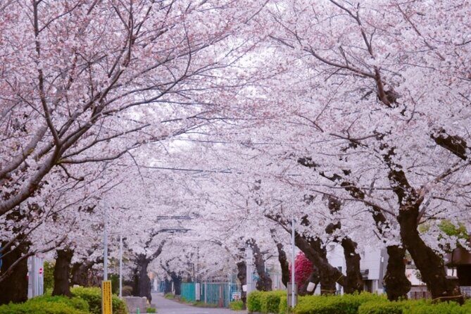 Yanaka & Ueno Tokyo's Old Town Charm - Temple, market,Retro Vibes - FAQ