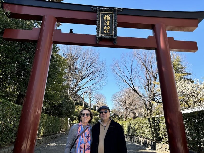 Yanaka Walking Tour: Historic and Traditional District of Tokyo - What the price buys you