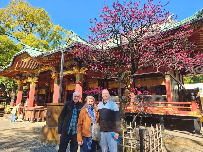 Yanaka Walking Tour: Historic and Traditional District of Tokyo - Should you book the Yanaka walk?