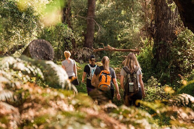Yanchep Ultimate Adventure Guided Hike Tour - Discover the Yanchep Ultimate Adventure Guided Hike Tour: An Authentic Australian Outback Experience