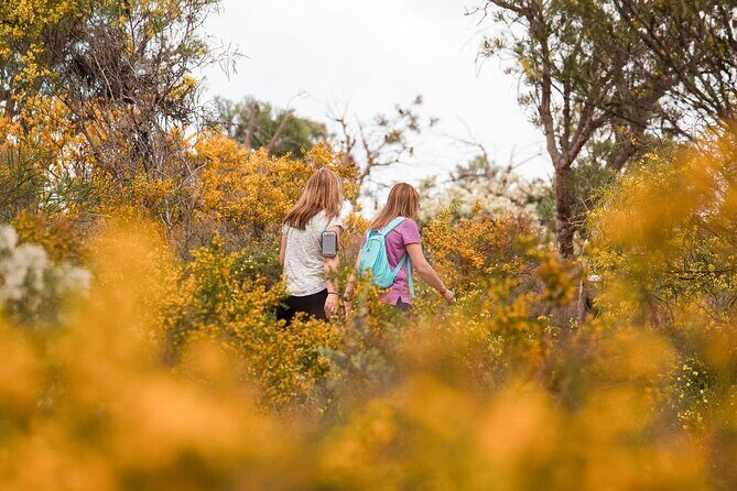 Yanchep Ultimate Adventure Guided Hike Tour - Key Points