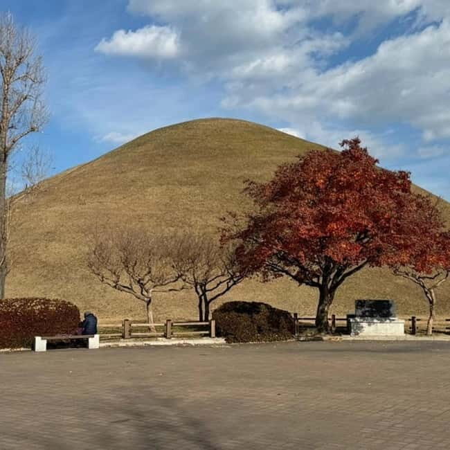 Yangdong village & Gyeongju Unesco Site Private Van Tour - FAQ