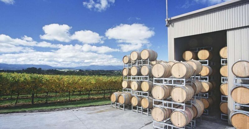 Yarra Valley: Bus Wine Tour with Lunch and a Glass of Wine - Wineries: A Mix of Charm and Quality