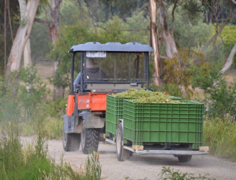 Yarra Valley: Bus Wine Tour with Lunch and a Glass of Wine - Frequently Asked Questions