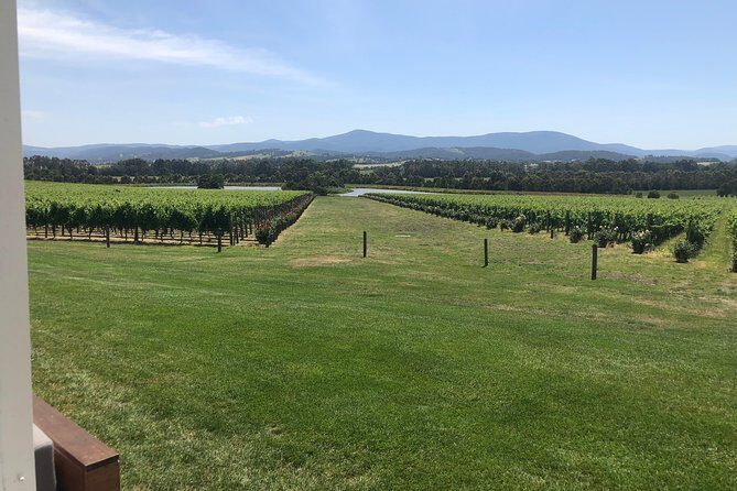 Yarra Valley, Dandenong Ranges inc. lunch with wine,plus morning tea,chocolate - Final Thoughts