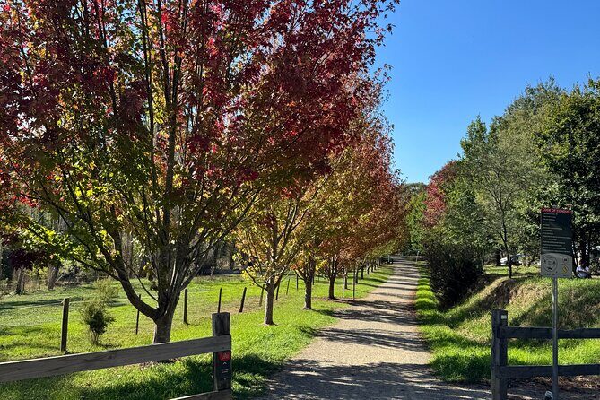 Yarra Valley Foodie Tour, Devonshire Tea, Cheese and Chocolate - Practical Tips for Your Visit