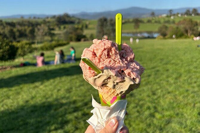 Yarra Valley Foodies Tour with Chandon & Kangaroo Safari! - Who Should Consider This Tour?