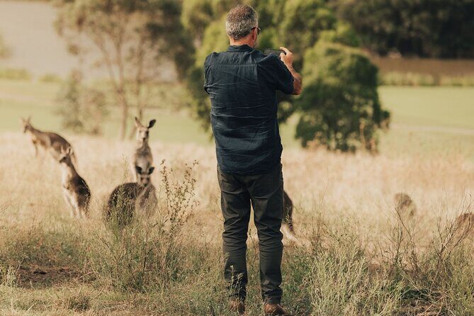 Yarra Valley Foodies Tour with Chandon & Kangaroo Safari! - Frequently Asked Questions