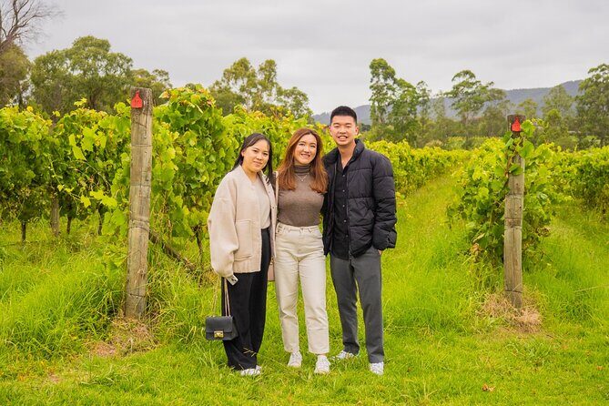 Yarra Valley Grazing Tour Wine, Cheese, Gin, Pizza from Melbourne - Who This Tour Is Perfect For