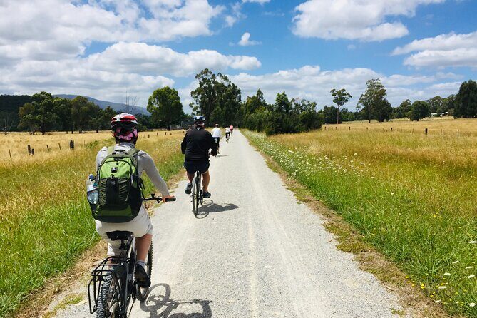 Yarra Valley Guided Bike Tour | Food & Wine Region - Exploring the Yarra Valley by Bike: What to Expect