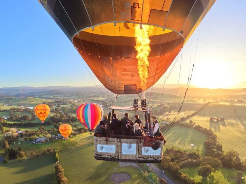 Yarra Valley: Hot Air Balloon Flight & Buffet Breakfast - A Detailed Look at the Experience