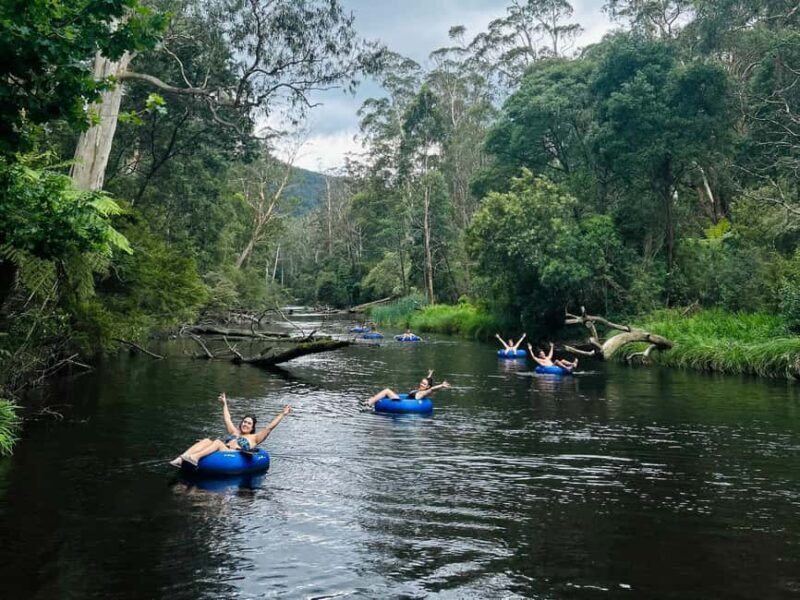 Yarra Valley: Self-Guided River Tubing Adventure - Practical Tips for the Best Experience