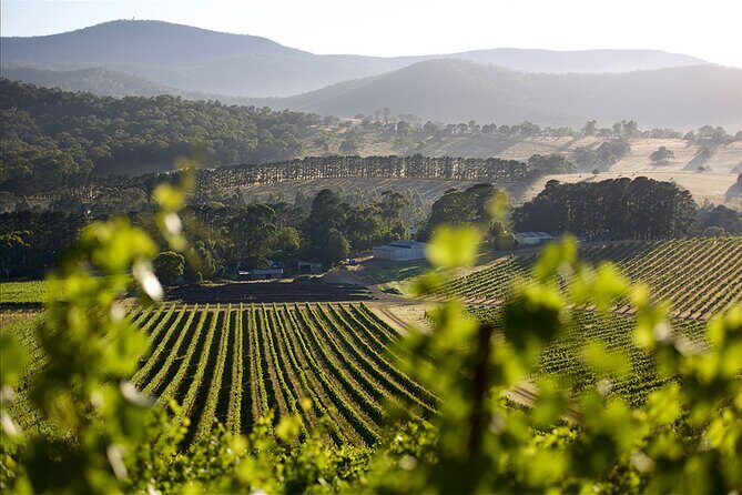 Yarra Valley Small Group with Lunch and Gin Tasting Four Pillars - Final Thoughts