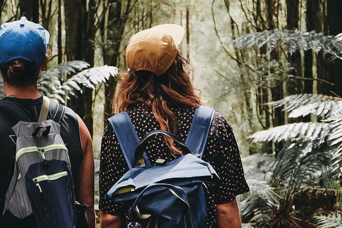 Yarra Valley Wildlife & Wine Day Tour with Healesville Sanctuary - What’s Included and What to Consider