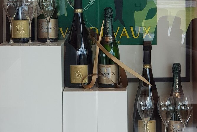 Yarra Valley Wine Tasting Day Tour from Melbourne - Who Should Consider This Tour?