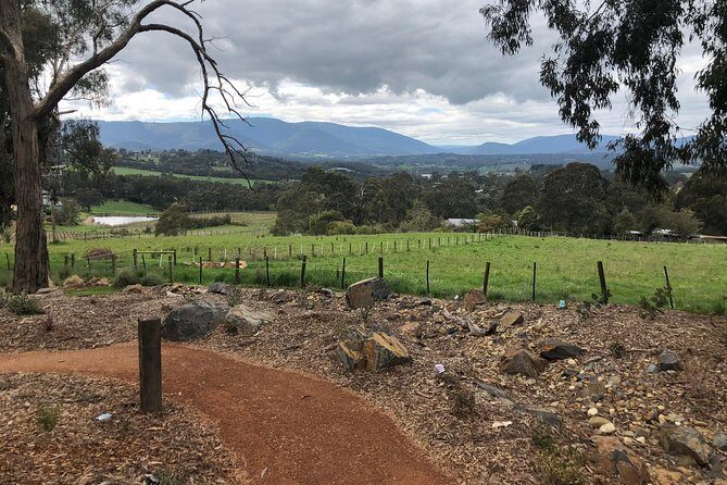 Yarra Valley Wine Tour inc lunch with a glass of wine, tastings and chocolate - An In-Depth Look at the Yarra Valley Wine Tour