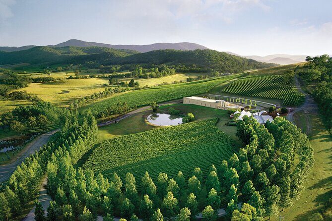 Yarra Valley Wineries Private Day Tour - An In-Depth Look at the Yarra Valley Wineries Private Tour
