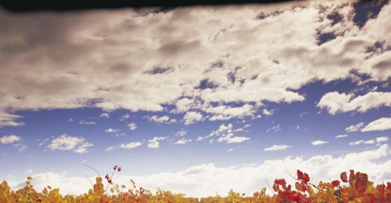 Yarra Valley: Winery Tour with Lunch at Yering Station - Final Thoughts