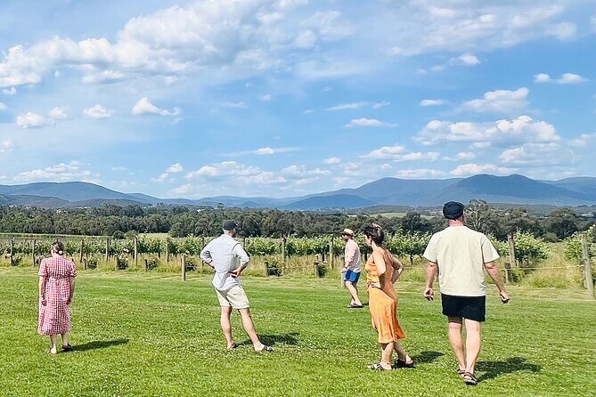 Yarra Valley Wines, Four Pillars Gin, Cheese/Fruit & Choc Tour - Final Return & Reflection
