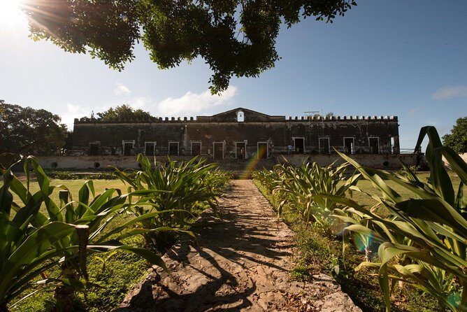 Yaxcopoil Hacienda, Uxmal & Cenote from Merida - A Closer Look at the Tour Experience