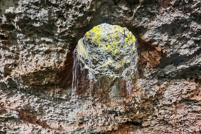 Yaxmuul and the Cenotes of the Mayan Underworld - Final Thoughts: Who Will Appreciate This Tour?