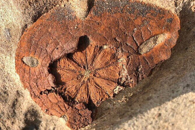 Yehliu, Jiufen & Pingxi Day Tour from Taipei - An In-Depth Look at the Tour Experience