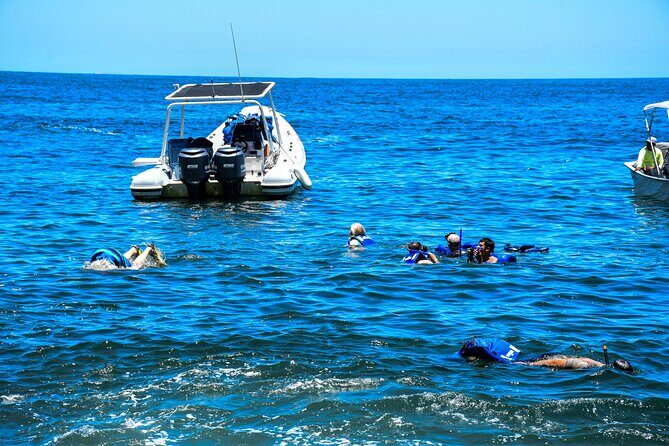 Yelapa Adventure and Snorkeling Escape in Puerto Vallarta - Practical Details and What to Keep in Mind