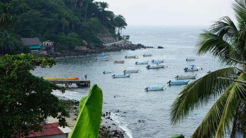 Yelapa: Catamaran Cruise with Lunch and Open Bar - Who Will Love This Tour?