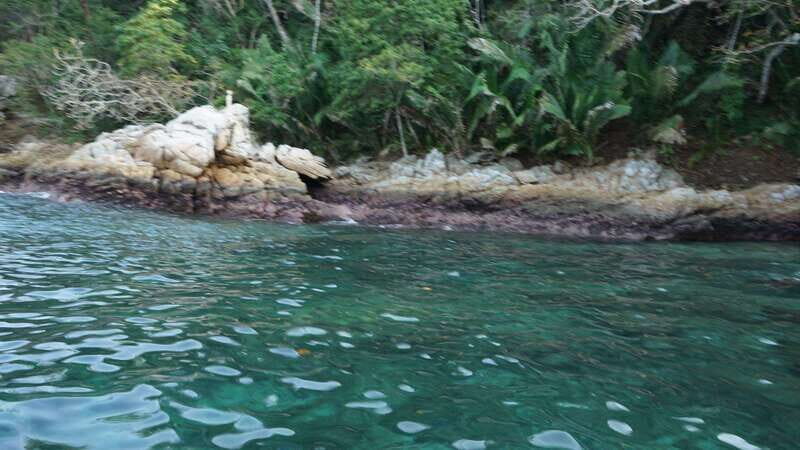 Yelapa: Catamaran Cruise with Lunch and Open Bar - Frequently Asked Questions