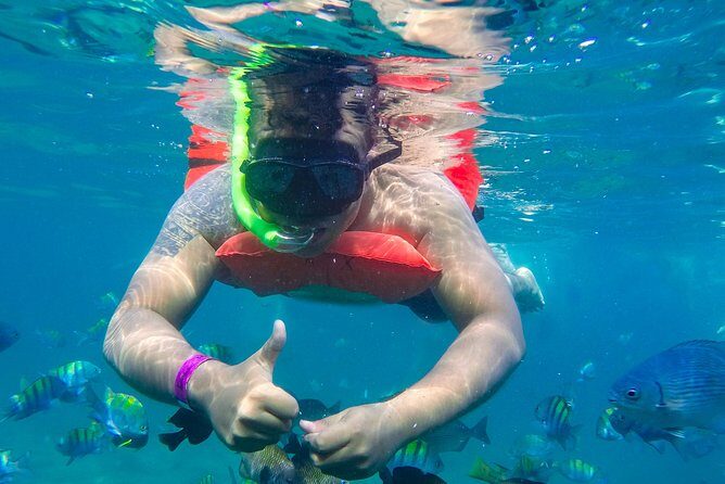 Yelapa Waterfall, BBQ at Exclusive Majahuitas Beach & Open bar - Who Would Love This Tour?