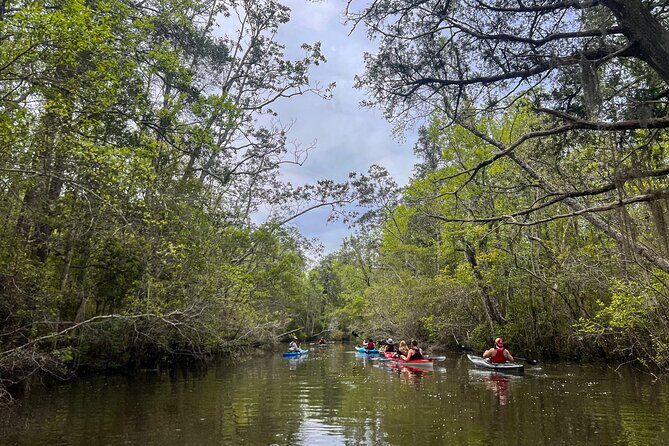 Yellow River Swamp Tour - Yellow River Swamp Tour: A Peaceful Paddle Through Florida’s Wetlands