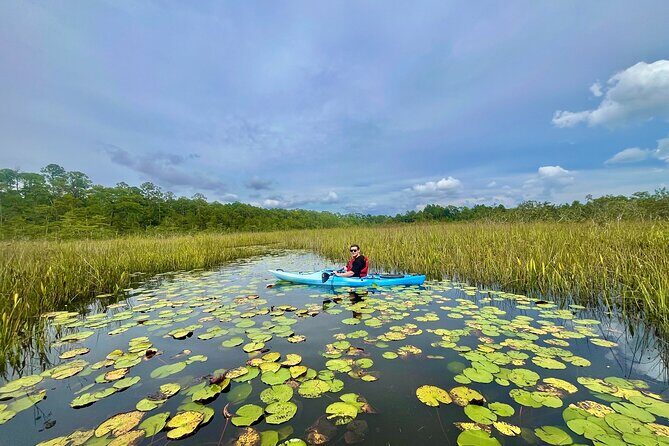 Yellow River Swamp Tour - Key Points