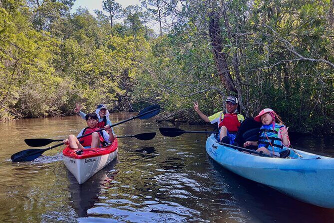 Yellow River Swamp Tour - Final Thoughts: Why You Should Consider This Tour