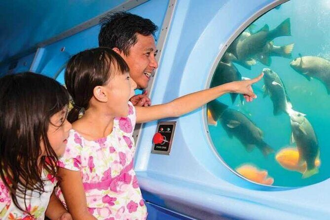 Yellow Semi-Submarine Tour of Catalina Island From Avalon - Detailed Review of the Yellow Semi-Submarine Tour