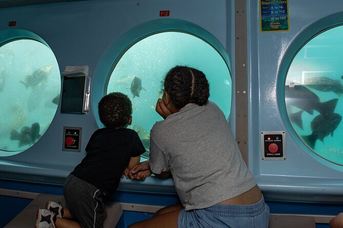 Yellow Semi-Submarine Tour of Catalina Island From Avalon - Final Thoughts