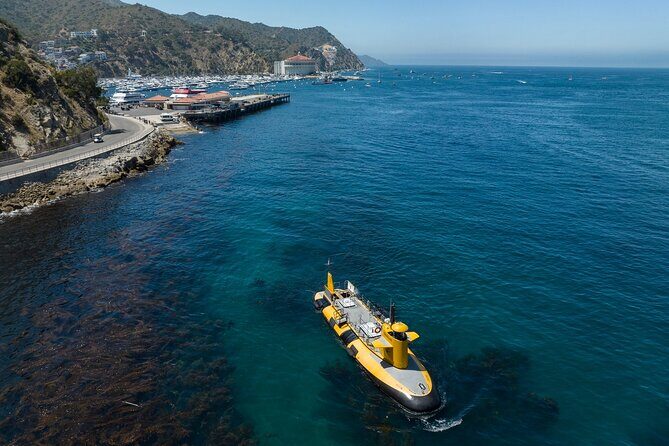 Yellow Semi-Submarine Tour of Catalina Island From Avalon - Discover the Underwater World of Catalina Island from Avalon