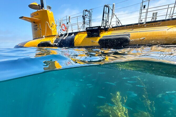 Yellow Semi-Submarine Tour of Catalina Island From Avalon - Key Points