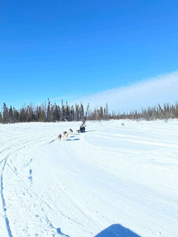 Yellowknife: Dog Sledding Tour - FAQs