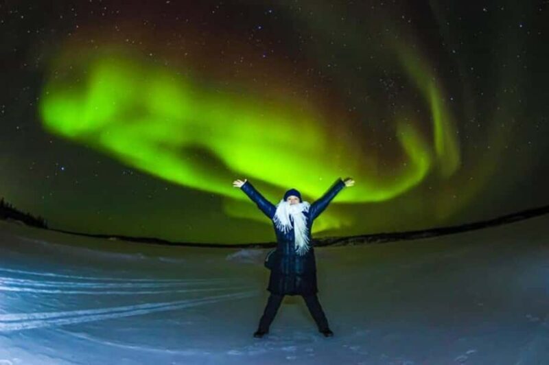 Yellowknife: Full-Day Aurora Borealis Viewing Tour - Key Points
