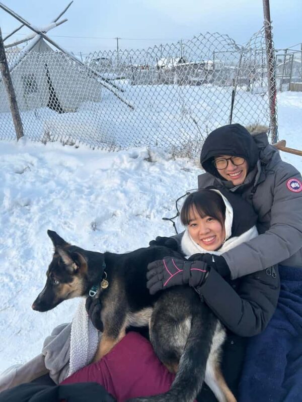 Yellowknife: Indigenous Dog Sledding Experience - Key Points