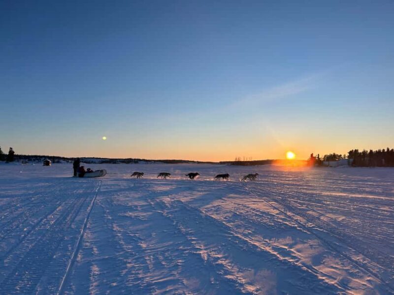 Yellowknife: Indigenous Dog Sledding Experience - Final Thoughts