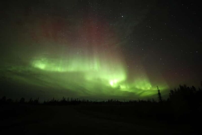Yellowknife: Northern Lights Chasing Tour by Bus - What Makes This Tour Stand Out?