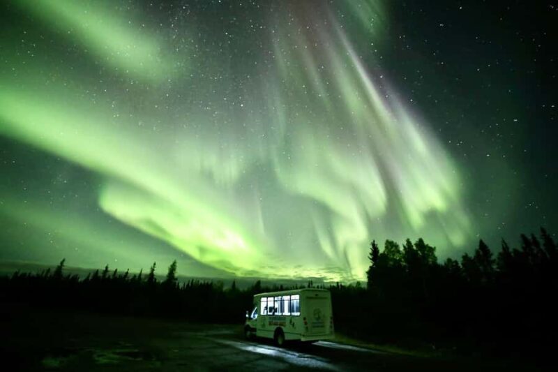 Yellowknife: Northern Lights Chasing Tour by Bus - Transportation and Group Size