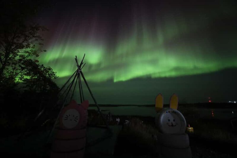 Yellowknife: Northern Lights Chasing Tour by Bus - What Travelers Say