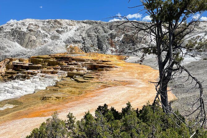 Yellowstone Bus Tour - Value for Money