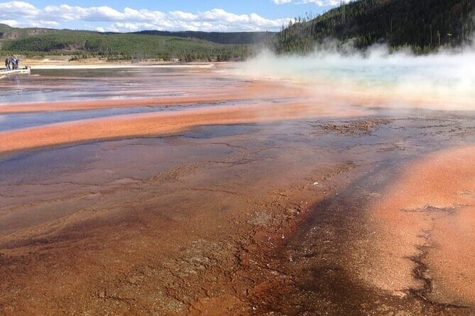Yellowstone For Kids Family Fun Tour w/PU in West Yellowstone - Key Points